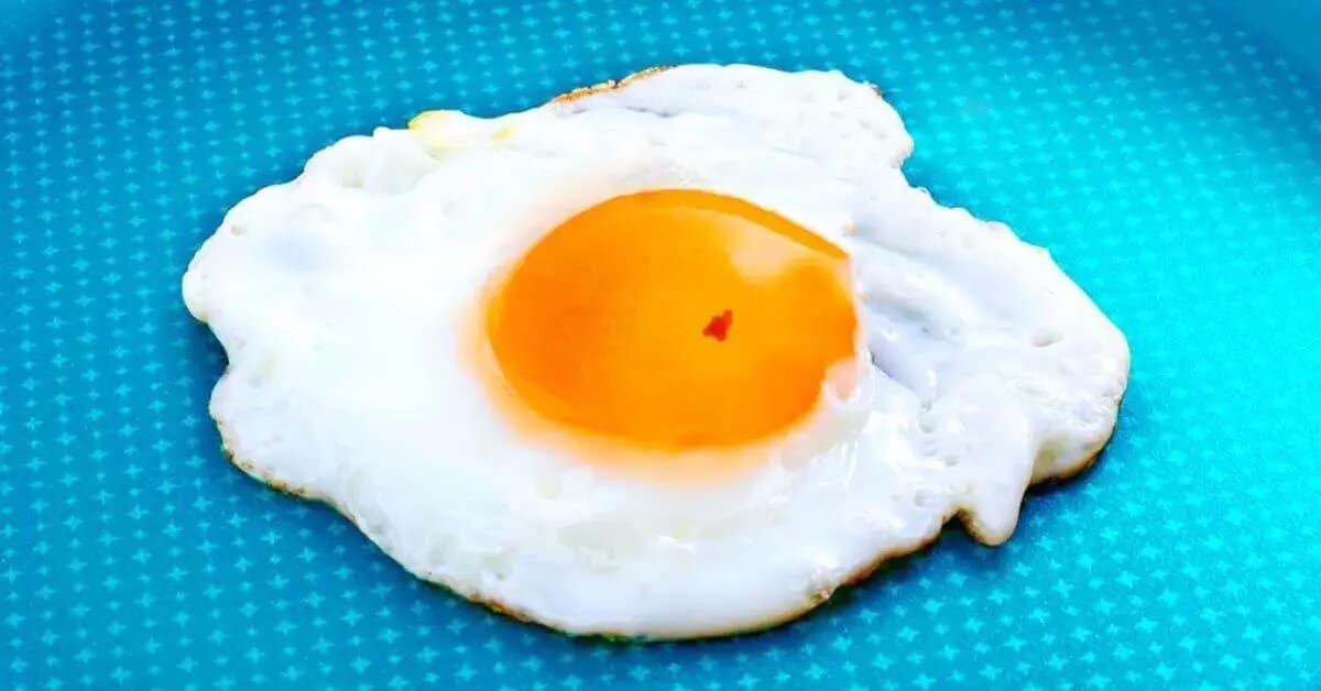 œufs avec taches de sang