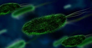 Comment lutter contre les infections bactériennes ?