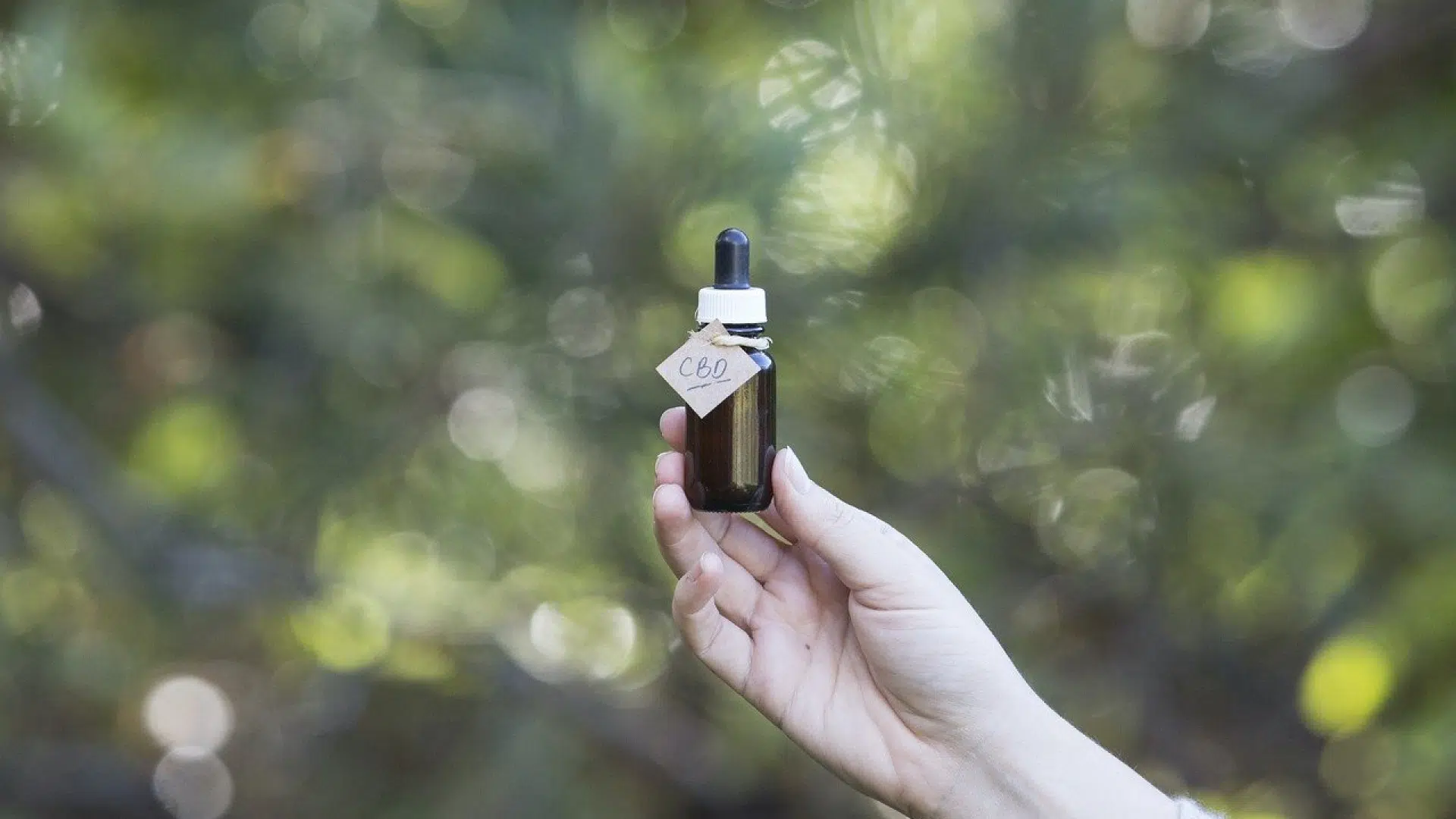 Comment choisir son huile de CBD ?