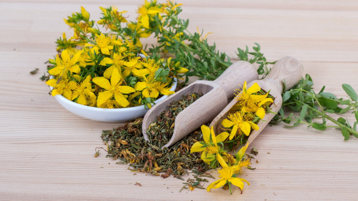 La naturopathie et son impact sur les troubles digestifs