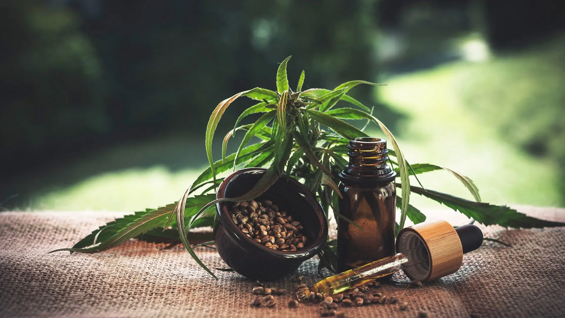 Quels sont les intérêts de consommer le CBD ?
