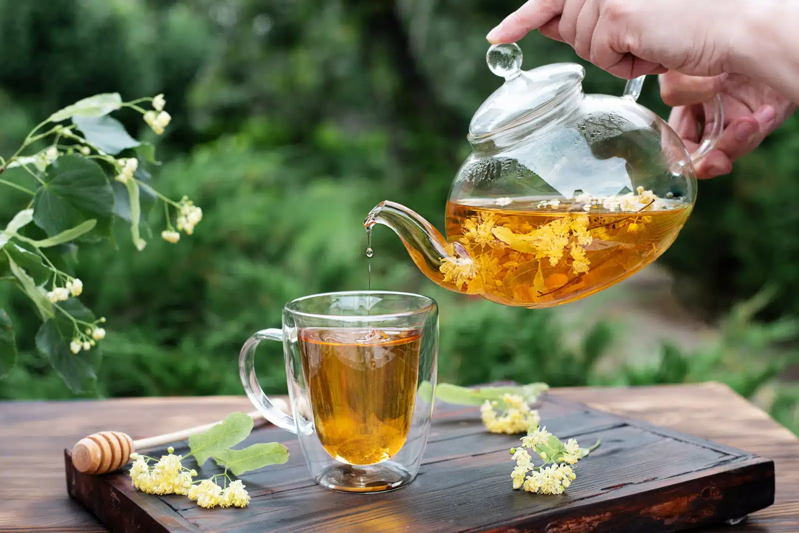 réussir l’infusion ou la décoction parfaite